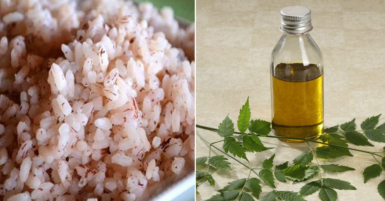 ഒരു പിടി ചോറുമതി, മുഞ്ഞയെ തുരത്തി പയര്‍ വിളയിക്കാം 