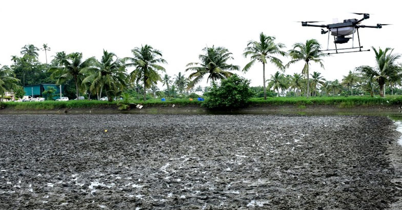 പൊക്കാളി പാടങ്ങളില്‍ വിത്ത് വിതച്ച് ഡ്രോണ്‍ 
