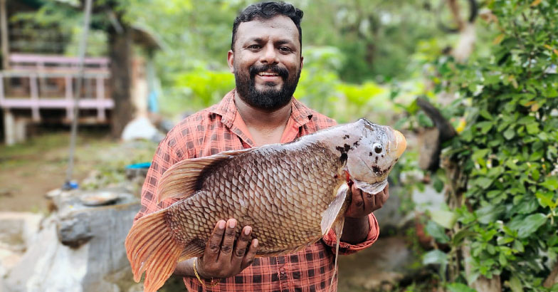 തീറ്റച്ചെലവില്ലാതെ വളര്‍ത്താന്‍  ഭീമന്‍മത്സ്യം