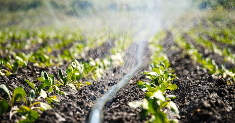 സൂഷ്മജലസേചന പദ്ധതി : ഏകീകൃത ഡിജിറ്റല്‍ പോര്‍ട്ടല്‍ നിലവില്‍ വന്നു; ലഭ്യമാകുന്നത് 100 കോടിയുടെ പദ്ധതികള്‍