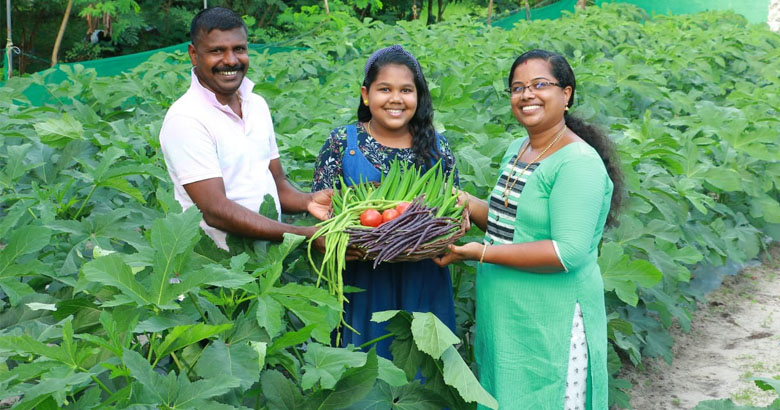മികച്ച വിളവിന് മണ്ണില്‍ ജൈവാംശം നിലനിര്‍ത്താം 