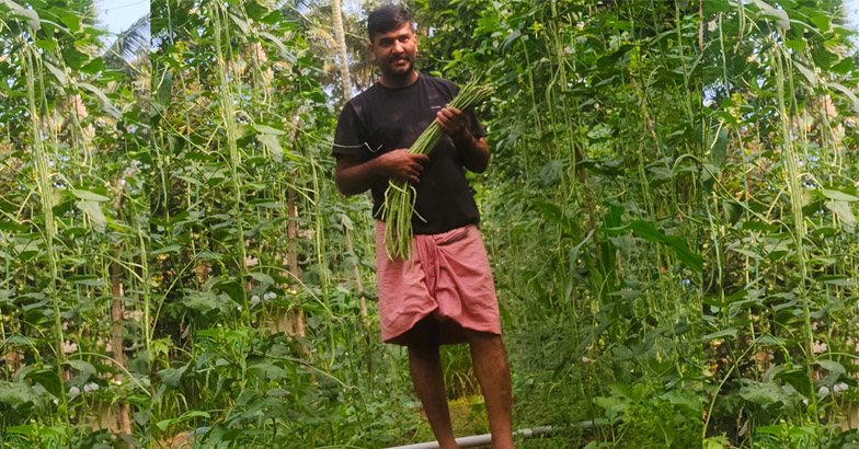 മഴ മാറിയാല്‍ കൃഷിയില്‍ സജീവമാകാം; ഈ നാട്ടറിവുകള്‍ ഉപകാരപ്പെടും 
