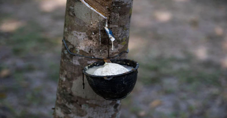 റബര്‍ കര്‍ഷകര്‍ക്ക് ധനസഹായം