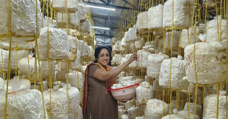 സംസ്ഥാന ഹോര്‍ട്ടികള്‍ച്ചര്‍ മിഷന്‍ കൂണ്‍ ഗ്രാമം പദ്ധതി രണ്ടാം ഘട്ടത്തിലേക്ക്