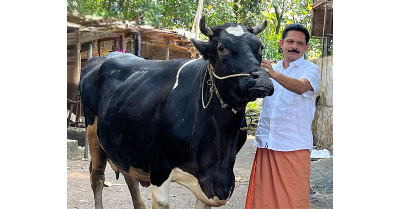 ദിവസം 3600 ലിറ്റര്‍ പാല്‍;   2.72 കോടി വരുമാനം,  രണ്ടാം തവണയും ക്ഷീരസഹകാരി പുരസ്‌കാരം നേടി ഇടുക്കിക്കാരന്‍