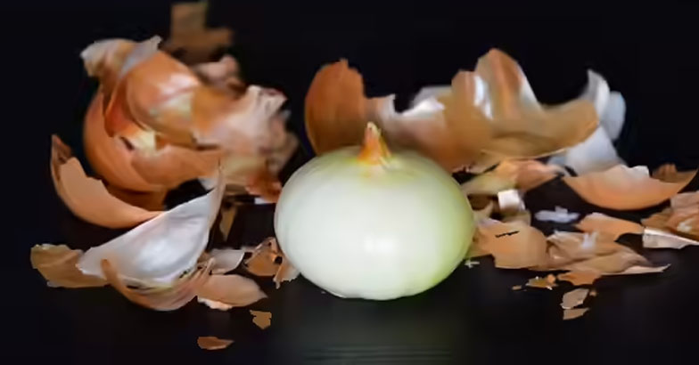 കീടങ്ങളെ തുരത്താന്‍ ഉള്ളിത്തൊലി ലായനി